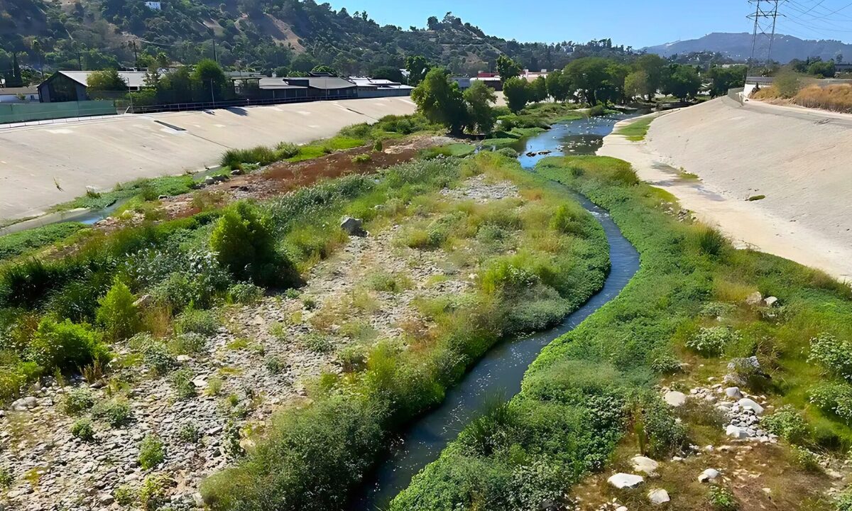 A view of the soft-bottomed Los Angeles River below the 400-foot-long Taylor Yard Bridge in Elysian Valley. The newest Taylor Yard parcel, currently fenced off as it undergoes toxic remediation, can be seen on the far right.