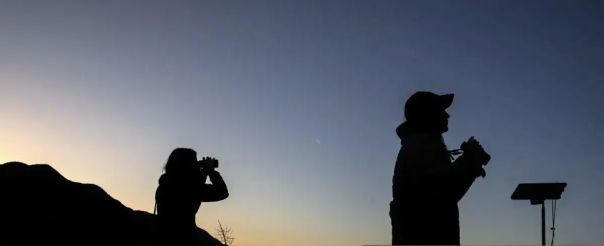 Birders looking through binoculars.