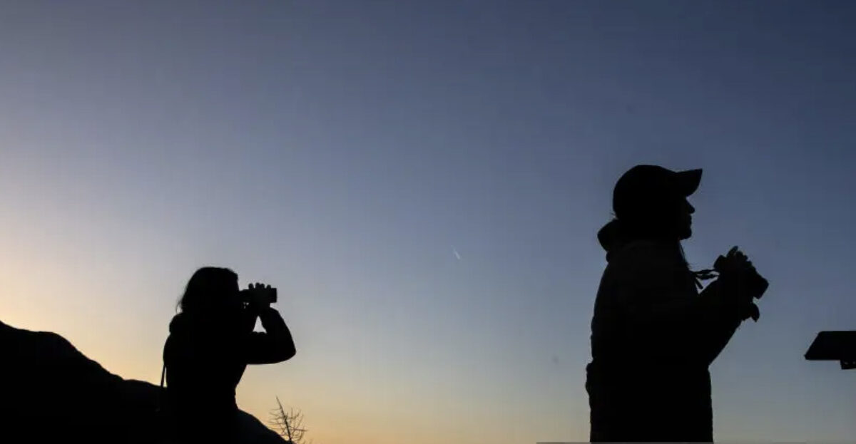 Birders looking through binoculars.