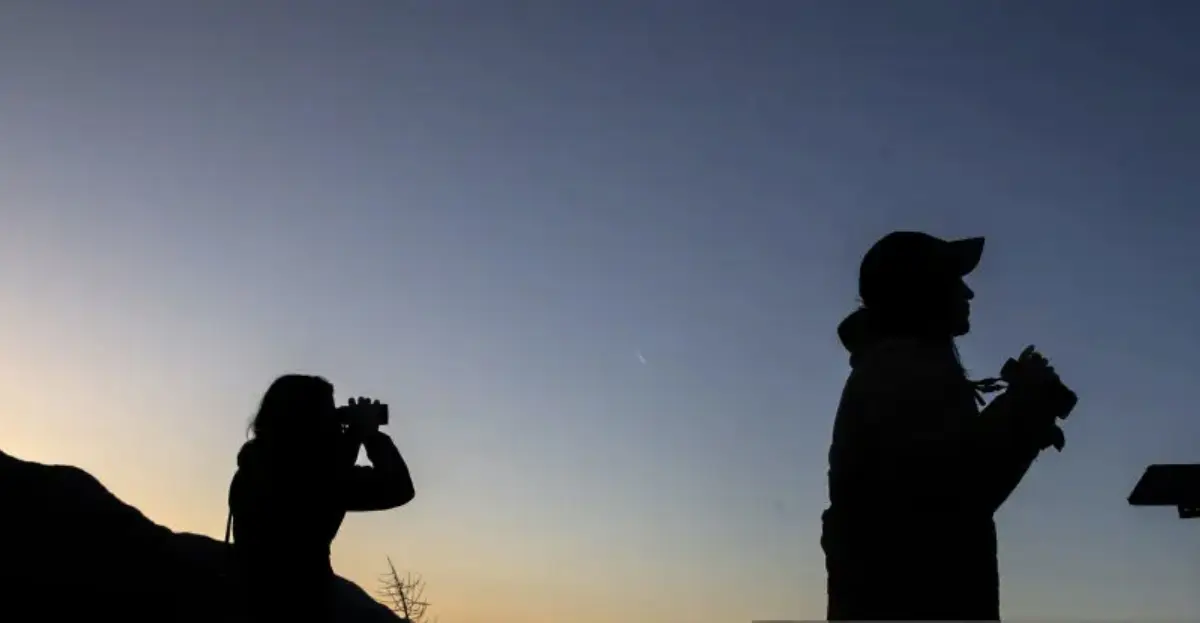 Birders looking through binoculars.