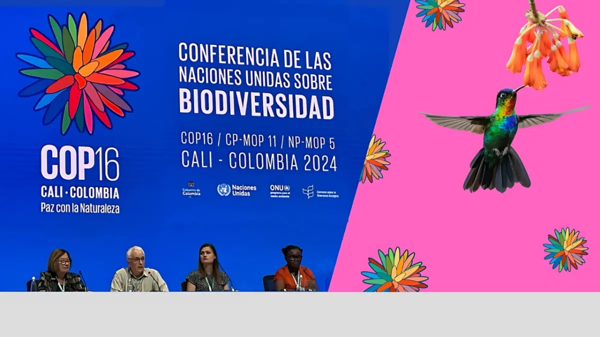 Panelists seated at a table in front of a large COP16 backdrop for the UN Biodiversity Conference in Cali, Colombia, 2024.