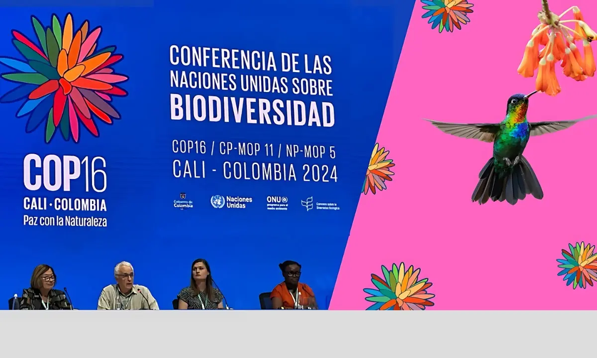 Panelists seated at a table in front of a large COP16 backdrop for the UN Biodiversity Conference in Cali, Colombia, 2024.
