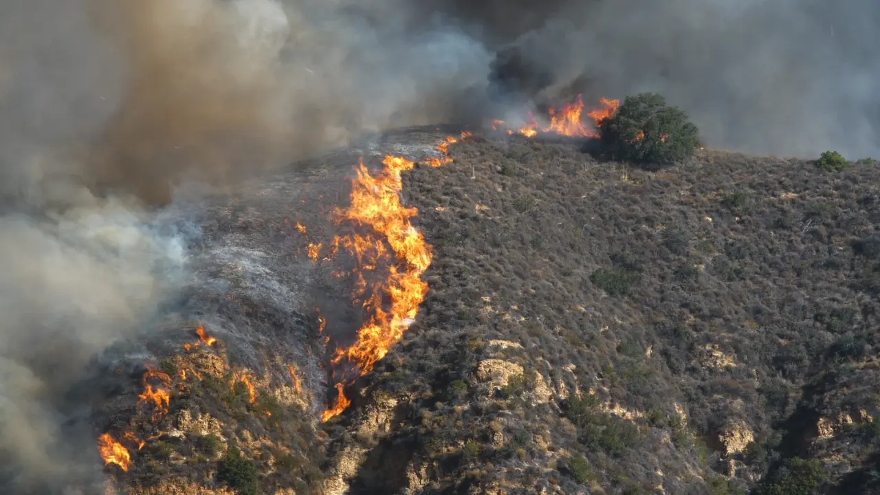 Pacific Palisades fire — UCLA experts warn of extreme wildfire risks in SoCal