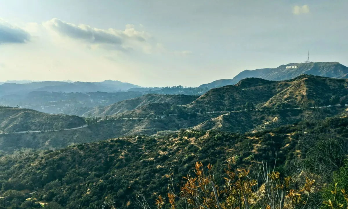 Chaparral-covered hills of the Santa Monica Mountains with the Hollywood Sign on a distant ridge under a hazy sky.