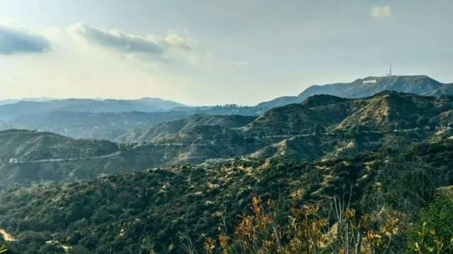 Chaparral-covered hills of the Santa Monica Mountains with the Hollywood Sign on a distant ridge under a hazy sky.