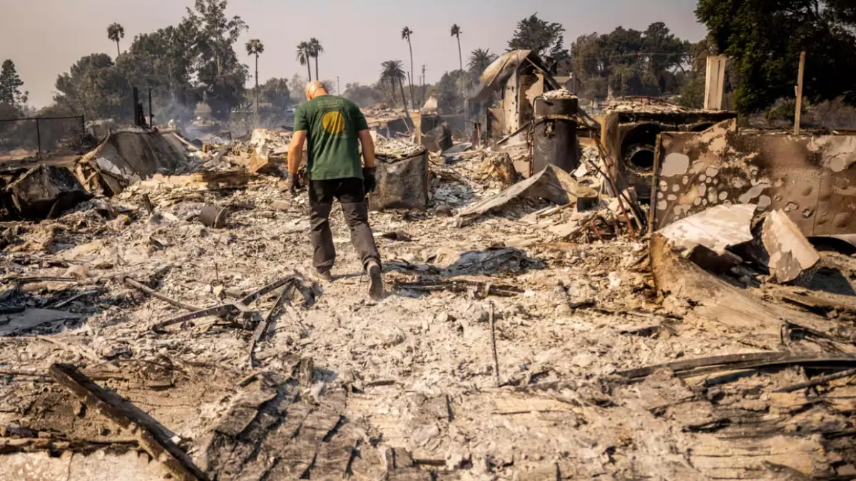 A person walks through the ash and rubble of homes destroyed by wildfire, with palm trees standing in the distance.