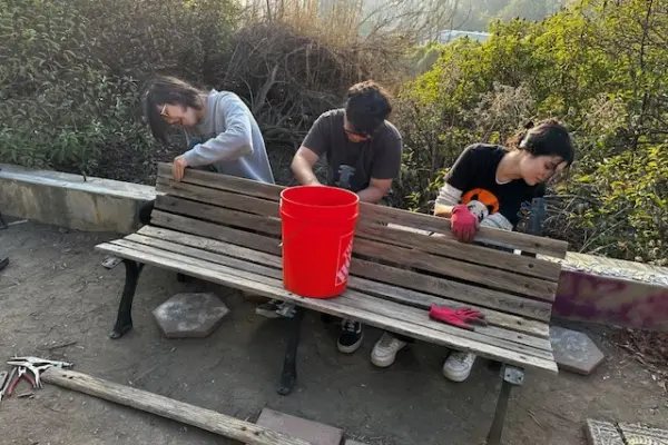 Three volunteers scrub and restore a weathered wooden bench outdoors at Sage Hill, with a red bucket and work gloves nearby.