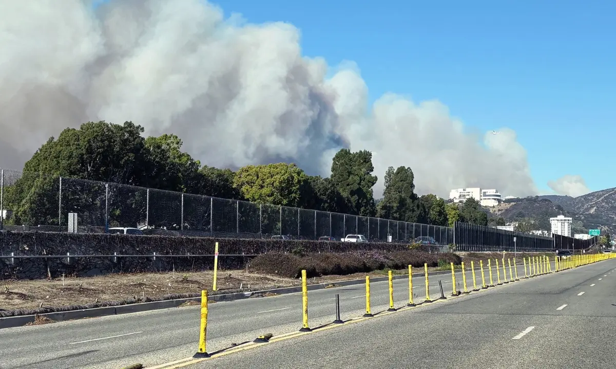 Rajit Gadh for IEEE Spectrum—Future L.A. Fires Could Be Prevented With Grid-Hardening Tech 