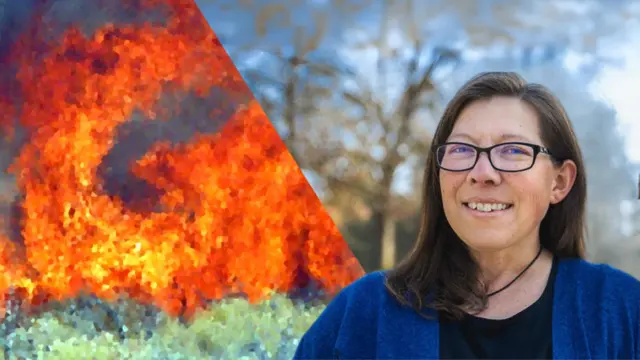 Wildfire disaster, recovery and resilience: What have we learned?