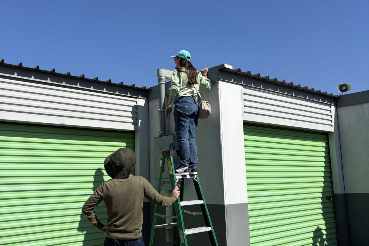 Student standing on ladder to see solar panels on storage facility.