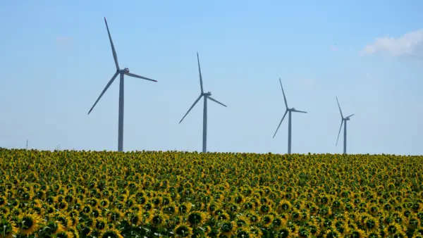 Four wind turbines rise above a blooming sunflower field under a clear blue sky.