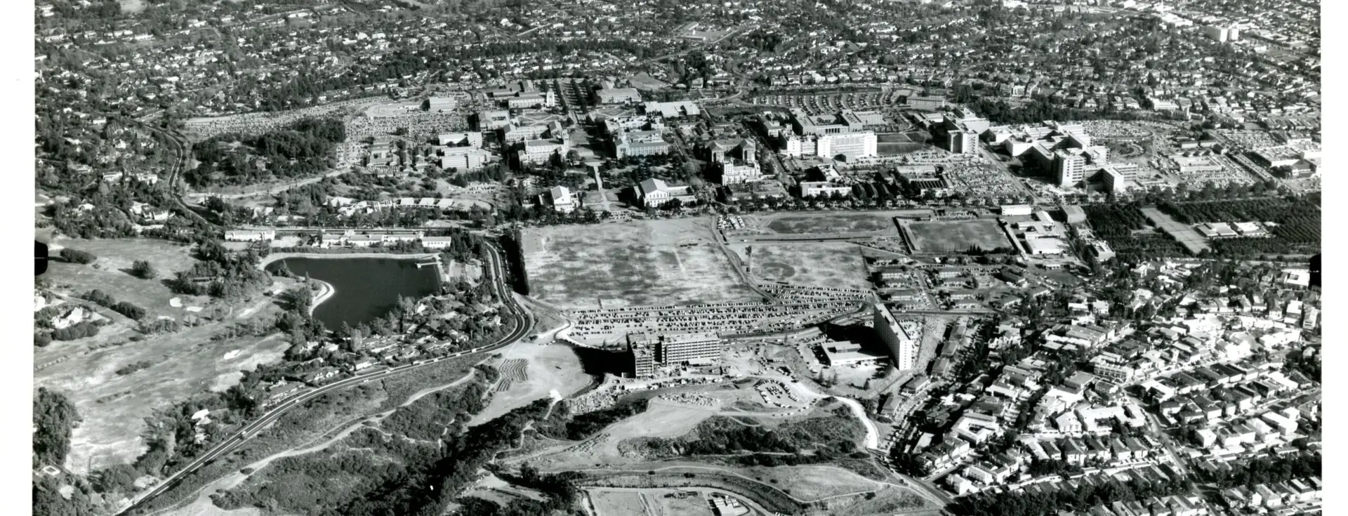 Natural History of Sage Hill