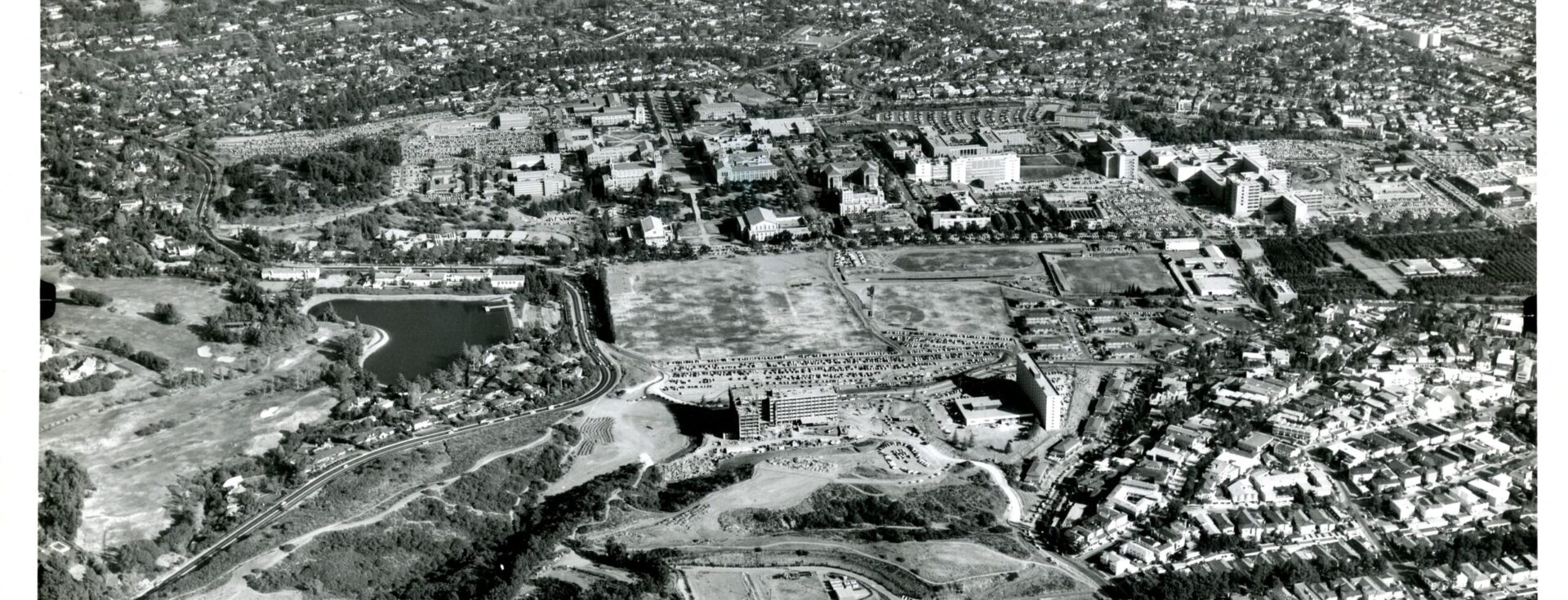 Natural History of Sage Hill