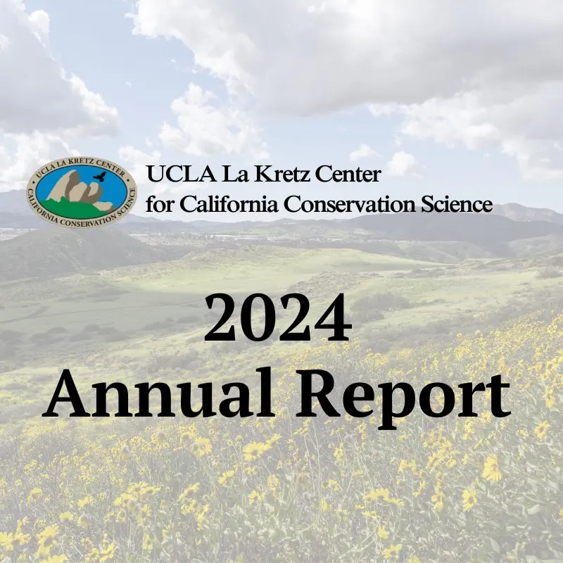 Cover of the UCLA La Kretz Center for California Conservation Science 2024 Annual Report, over green hills with yellow wildflowers.
