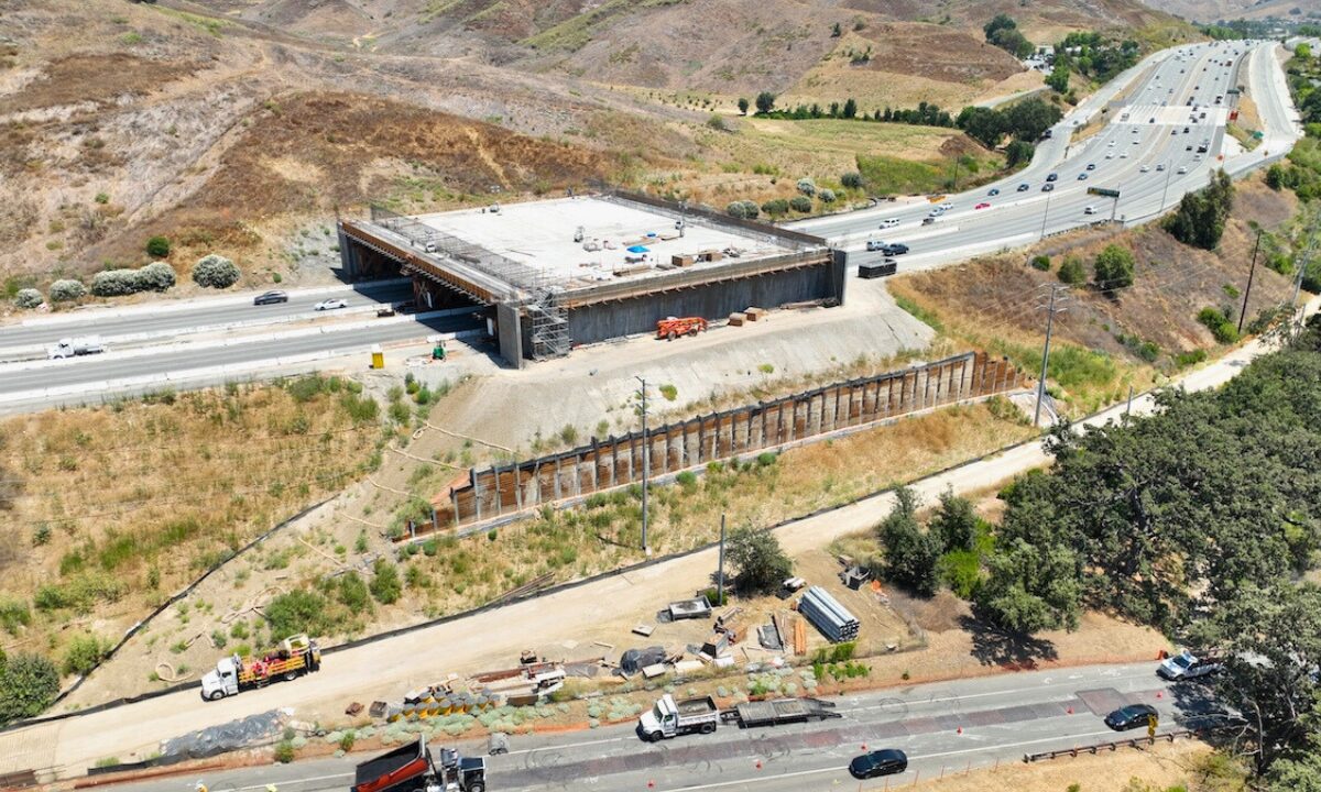 Travis Longcore for California Builder & Engineer—Caltrans to Restore Habitat Connectivity Across One of the Busiest Freeways in the World