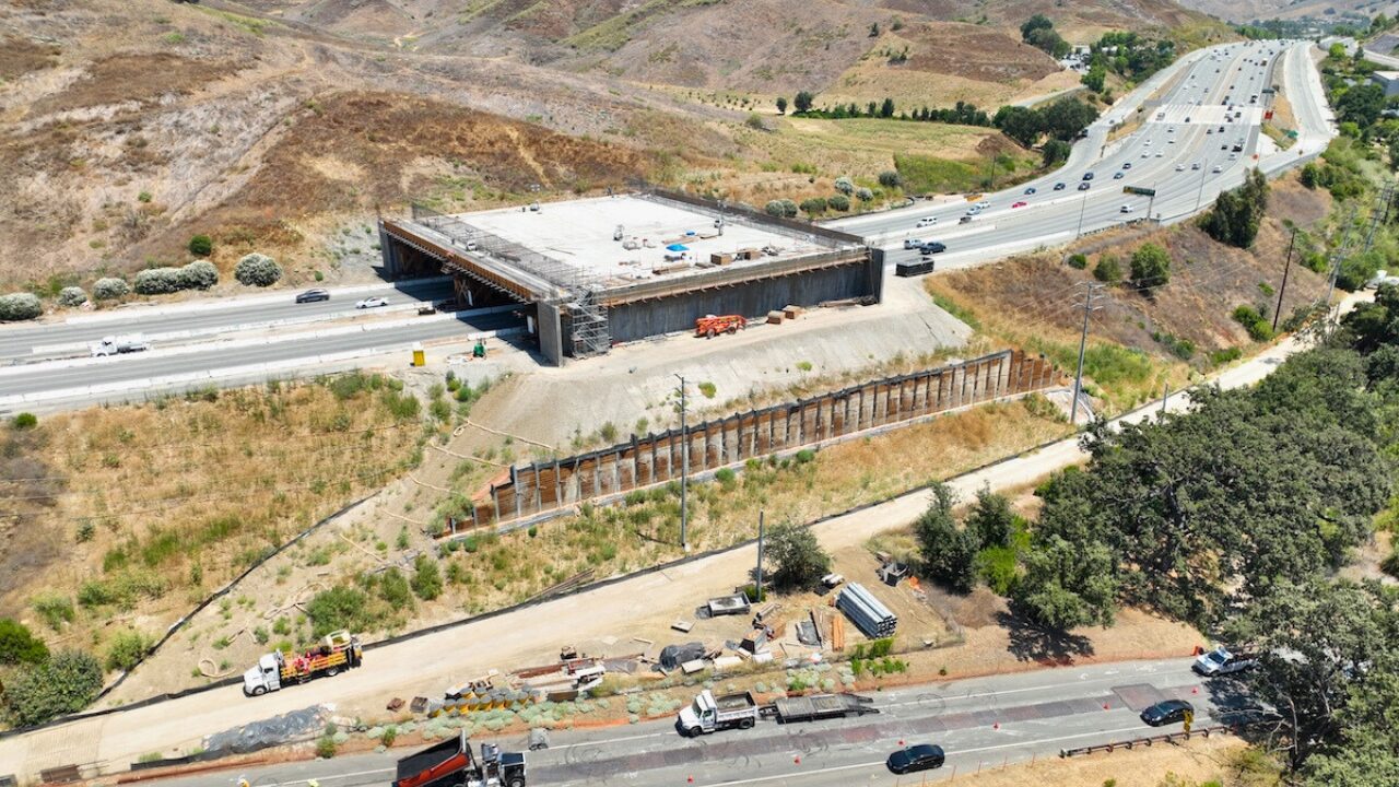 Travis Longcore for California Builder & Engineer—Caltrans to Restore Habitat Connectivity Across One of the Busiest Freeways in the World