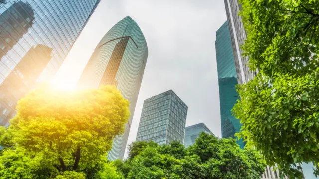 Sunlight filters through green trees framing a view upward at glass office towers in a city downtown.