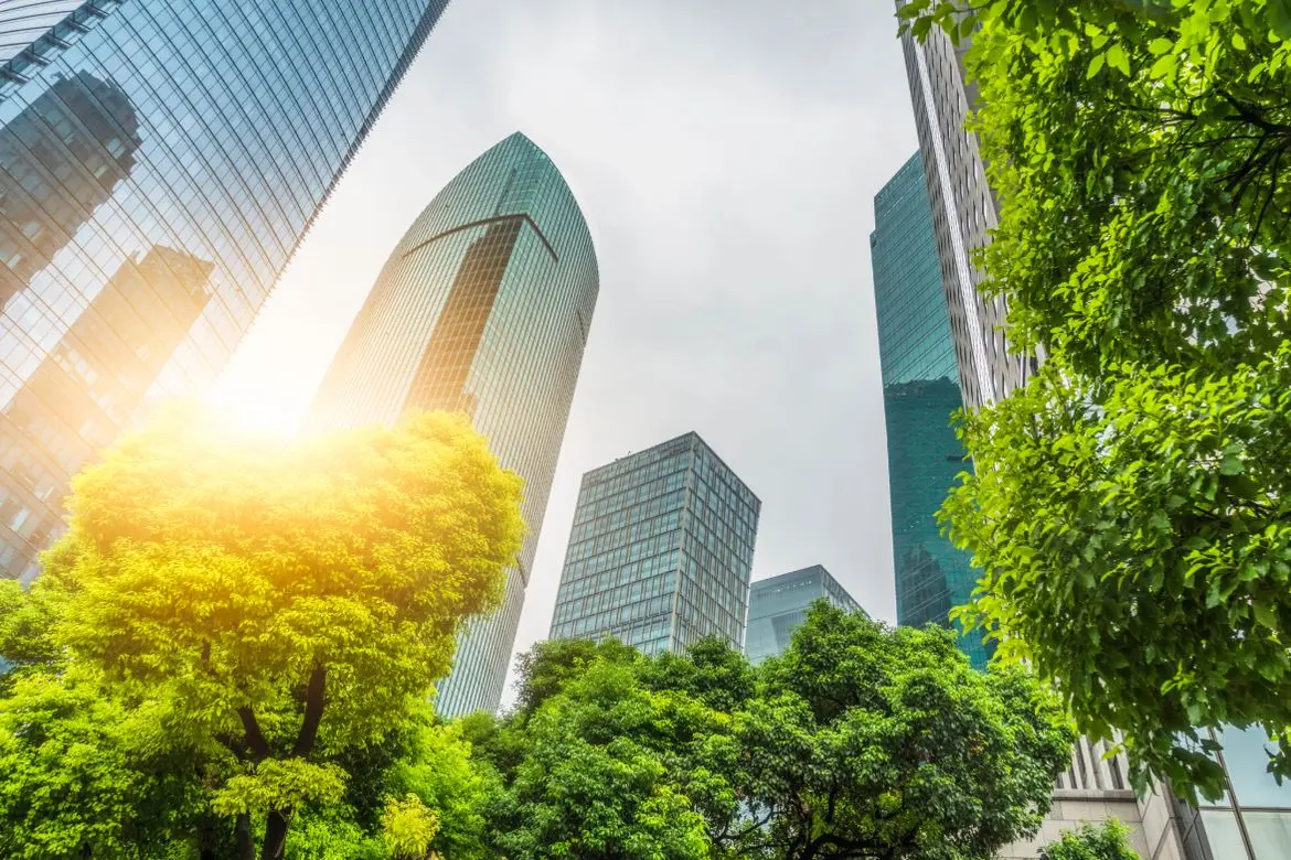 Sunlight filters through green trees framing a view upward at glass office towers in a city downtown.