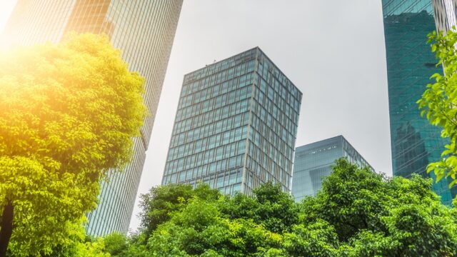 Sustainability Report 2025 Cover