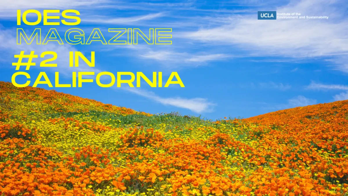 IoES Magazine graphic reading "#2 in California" over a hillside covered in orange poppies under a blue sky.
