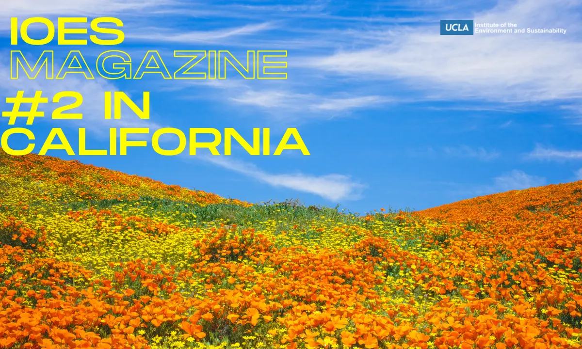 UCLA IoES Magazine Ranked #2 in California for Sustainability Coverage