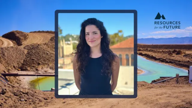 UCLA Ph.D. candidate Lorena De la Puente Burlando selected for Critical Minerals Research Lab