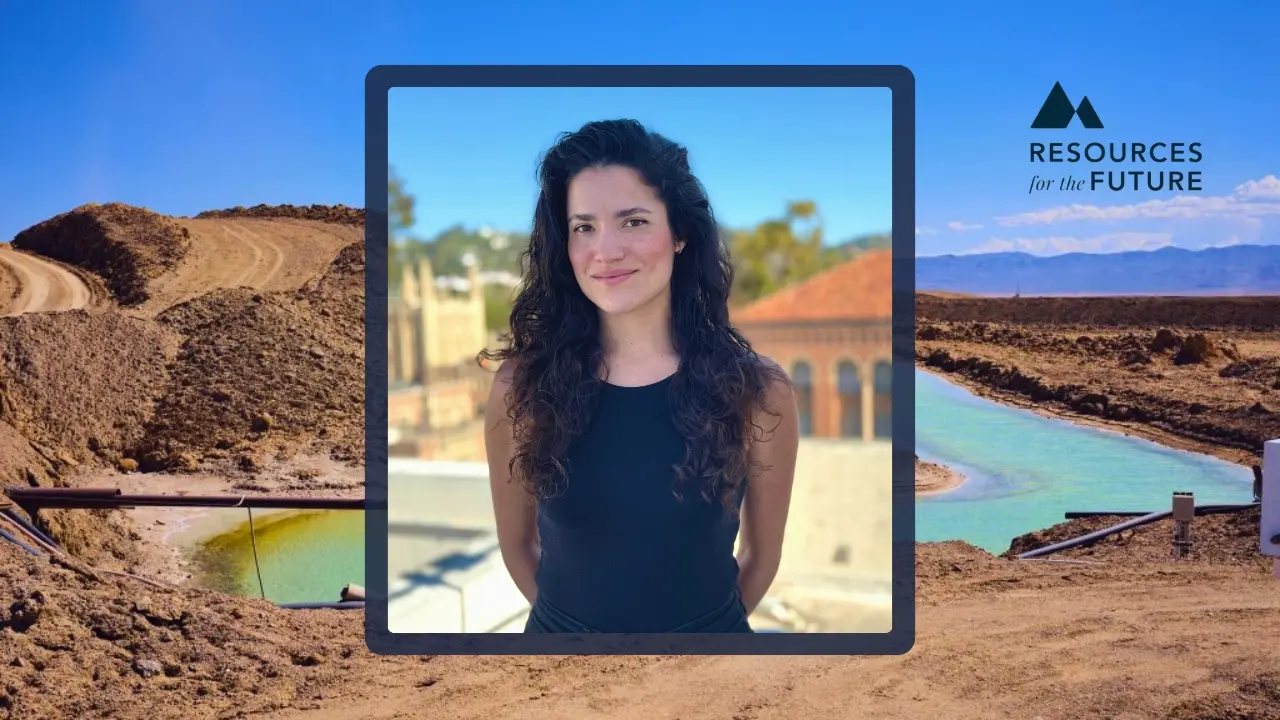 UCLA Ph.D. candidate Lorena De la Puente Burlando selected for Critical Minerals Research Lab