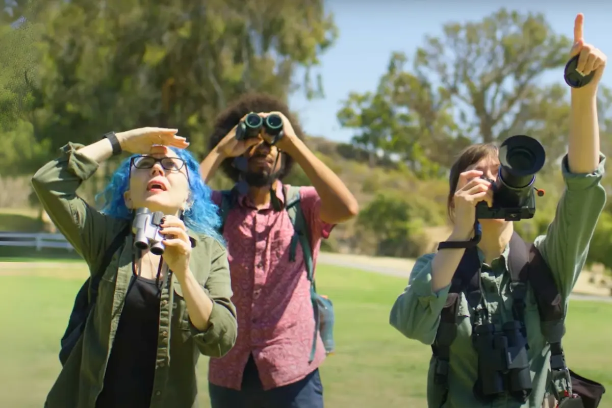 Three birdwatchers with binoculars and a camera look and point upward at birds in a grassy park.