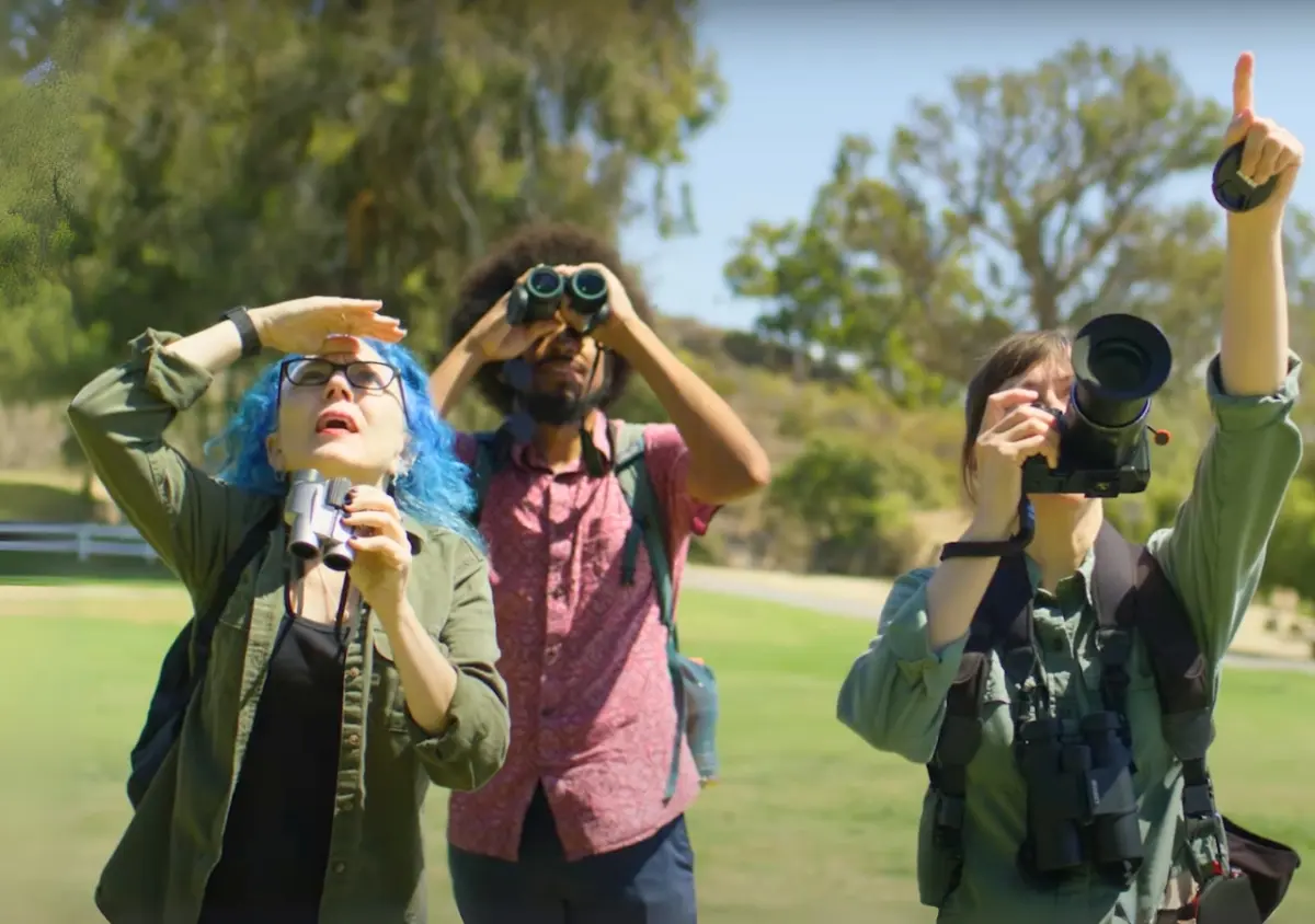 Three birdwatchers with binoculars and a camera look and point upward at birds in a grassy park.