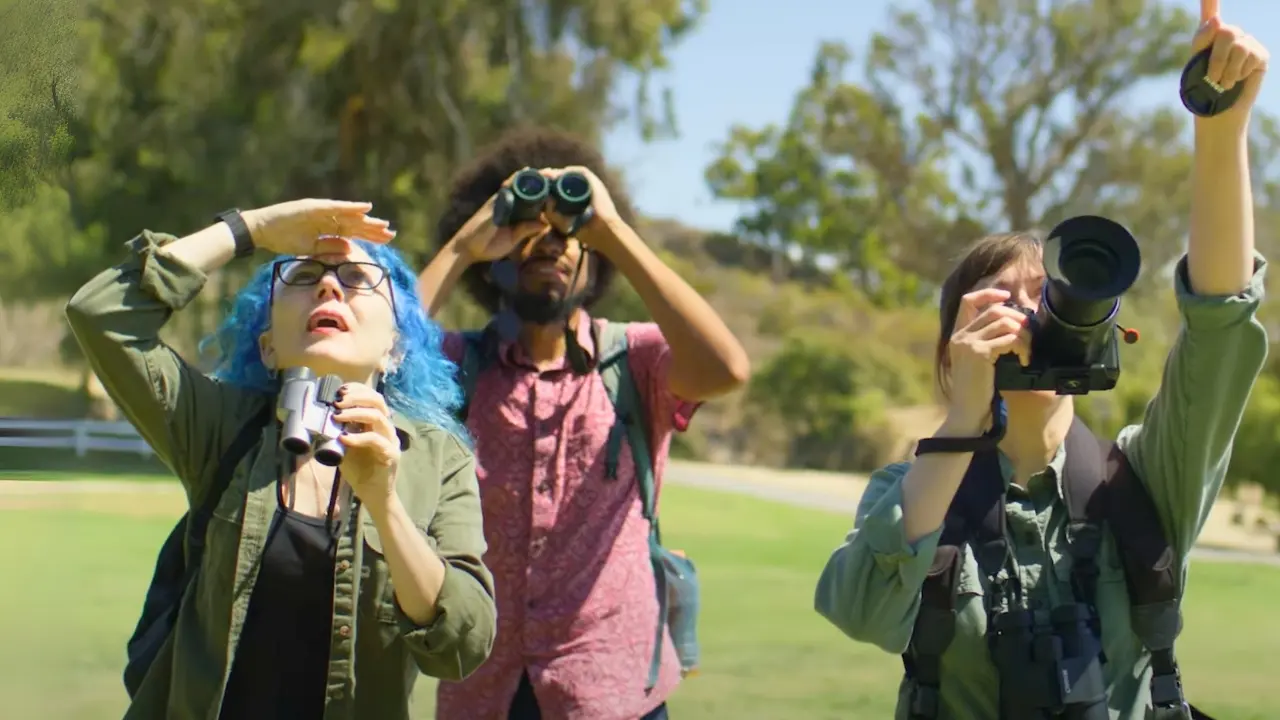 How watching birds for 10 minutes a week can help climate scientists this summer