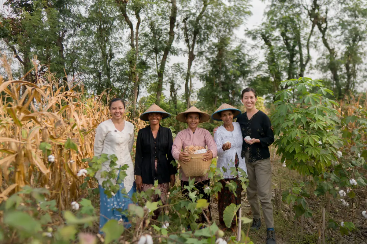 Five people stand together in a mixed field of cotton, corn and cassava, one holding a woven basket of harvested cotton.