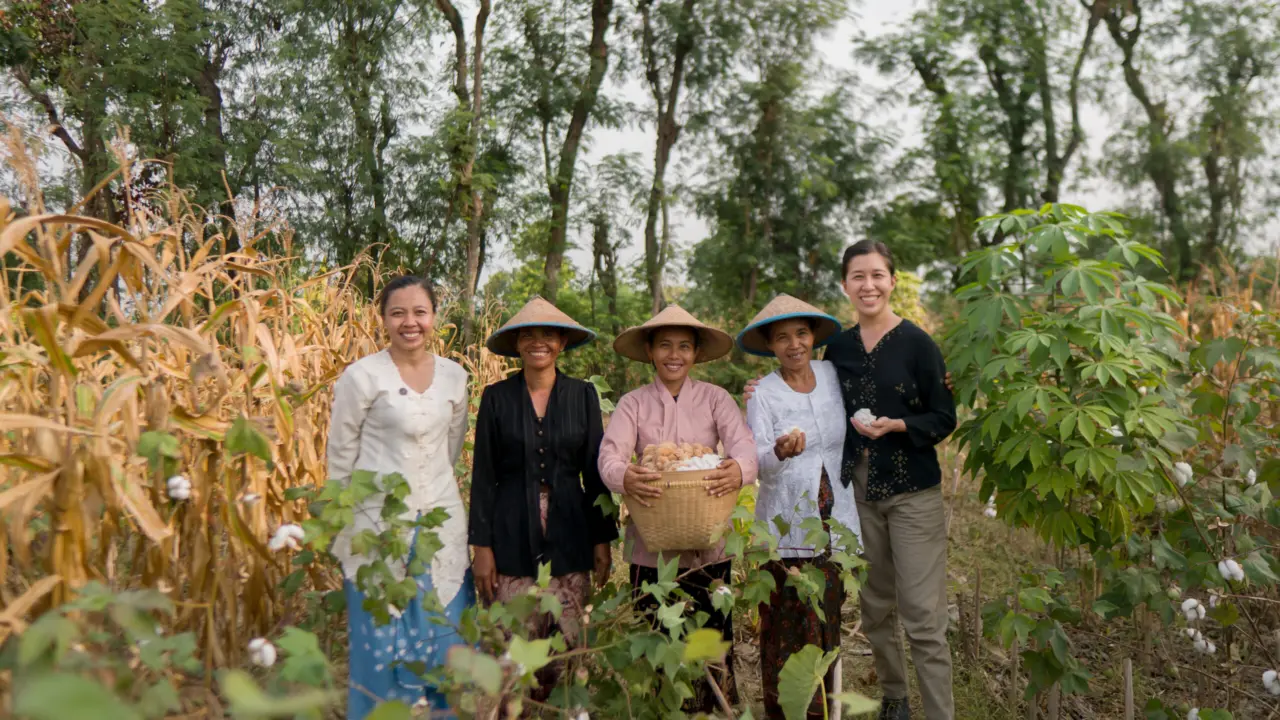 Five people stand together in a mixed field of cotton, corn and cassava, one holding a woven basket of harvested cotton.