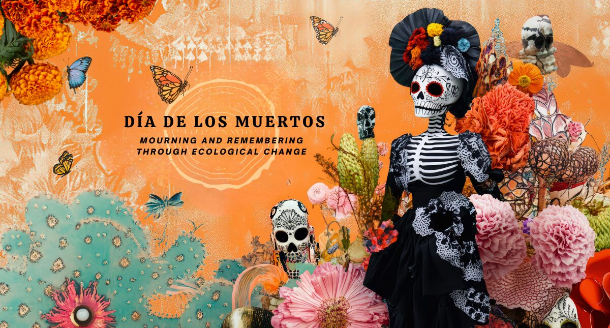 Flyer for UCLA’s Día de los Muertos event. Text reads: ‘11.1.25, 11AM–1PM, UCLA Mathias Botanical Garden. Día de los Muertos. Mourning and Remembering Through Ecological Change. Altars, speakers, performances, pastries, drinks.’ Design shows a monarch butterfly, tree-ring pattern behind the text, and vibrant Día de los Muertos imagery: a skeleton figure in an ornate black dress with floral headpiece, surrounded by colorful marigolds, pink and red blossoms, sugar skulls, butterflies, and cactus.