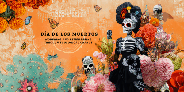Flyer for UCLA’s Día de los Muertos event. Text reads: ‘11.1.25, 11AM–1PM, UCLA Mathias Botanical Garden. Día de los Muertos. Mourning and Remembering Through Ecological Change. Altars, speakers, performances, pastries, drinks.’ Design shows a monarch butterfly, tree-ring pattern behind the text, and vibrant Día de los Muertos imagery: a skeleton figure in an ornate black dress with floral headpiece, surrounded by colorful marigolds, pink and red blossoms, sugar skulls, butterflies, and cactus.