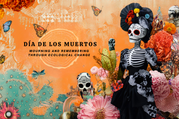 Flyer for UCLA’s Día de los Muertos event. Text reads: ‘11.1.25, 11AM–1PM, UCLA Mathias Botanical Garden. Día de los Muertos. Mourning and Remembering Through Ecological Change. Altars, speakers, performances, pastries, drinks.’ Design shows a monarch butterfly, tree-ring pattern behind the text, and vibrant Día de los Muertos imagery: a skeleton figure in an ornate black dress with floral headpiece, surrounded by colorful marigolds, pink and red blossoms, sugar skulls, butterflies, and cactus.