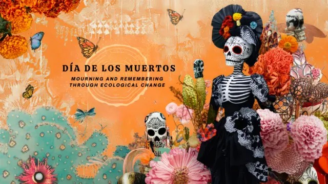 Flyer for UCLA’s Día de los Muertos event. Text reads: ‘11.1.25, 11AM–1PM, UCLA Mathias Botanical Garden. Día de los Muertos. Mourning and Remembering Through Ecological Change. Altars, speakers, performances, pastries, drinks.’ Design shows a monarch butterfly, tree-ring pattern behind the text, and vibrant Día de los Muertos imagery: a skeleton figure in an ornate black dress with floral headpiece, surrounded by colorful marigolds, pink and red blossoms, sugar skulls, butterflies, and cactus.