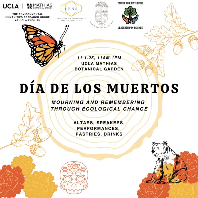 Flyer for UCLA event ‘Día de los Muertos: Mourning and Remembering Through Ecological Change.’ Event details: November 1, 2025, 11 a.m.–1 p.m., UCLA Mathias Botanical Garden. Hosted by The Environmental Humanities Research Group at UCLA English, Laboratory for Environmental Narrative Strategies (LENS), Climate Justice Collective, and Center for Developing Leadership in Science. Text at bottom: Altars, speakers, performances, pastries, drinks. Design features include an illustrated monarch butterfly, oak leaves with acorns, marigold flowers, a sugar skull, and a black-and-white bear outlined and shaded with orange marigold petals. A light tree-ring pattern circles the event title in the background.