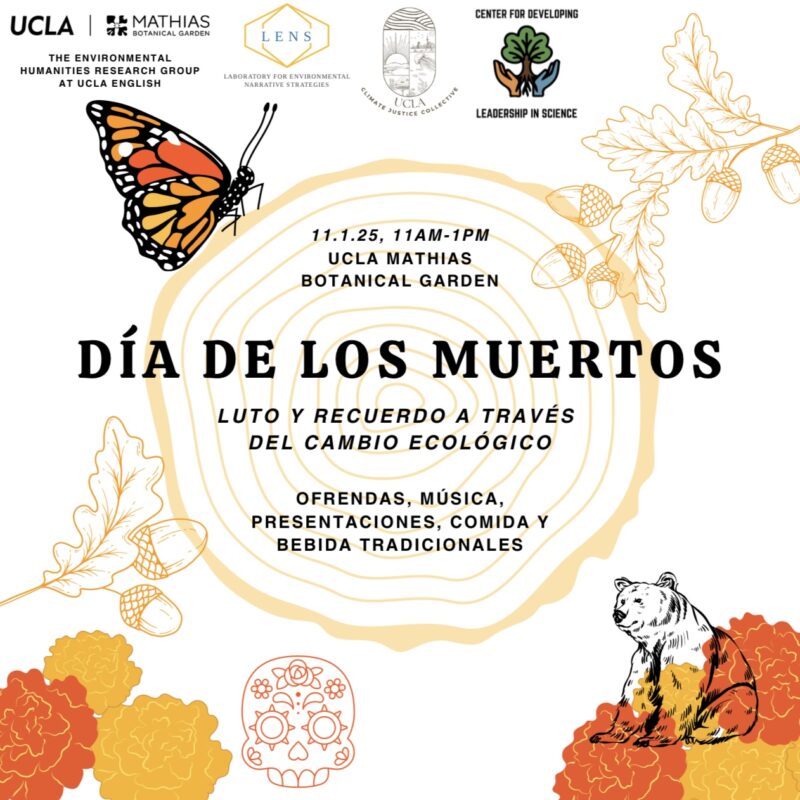 Cartel para el evento de UCLA ‘Día de los Muertos: Luto y recuerdo a través del cambio ecológico.’ Detalles del evento: 1 de noviembre de 2025, de 11 a.m. a 1 p.m., Jardín Botánico Mathias de UCLA. Organizado por The Environmental Humanities Research Group at UCLA English, Laboratory for Environmental Narrative Strategies (LENS), Climate Justice Collective y Center for Developing Leadership in Science. Texto en la parte inferior: Ofrendas, música, presentaciones, comida y bebida tradicionales. El diseño incluye una mariposa monarca ilustrada, hojas de roble con bellotas, flores de cempasúchil, una calavera de azúcar y un oso en blanco y negro delineado con pétalos de cempasúchil anaranjados. Un patrón claro de anillos de árbol rodea el título del evento en el fondo.