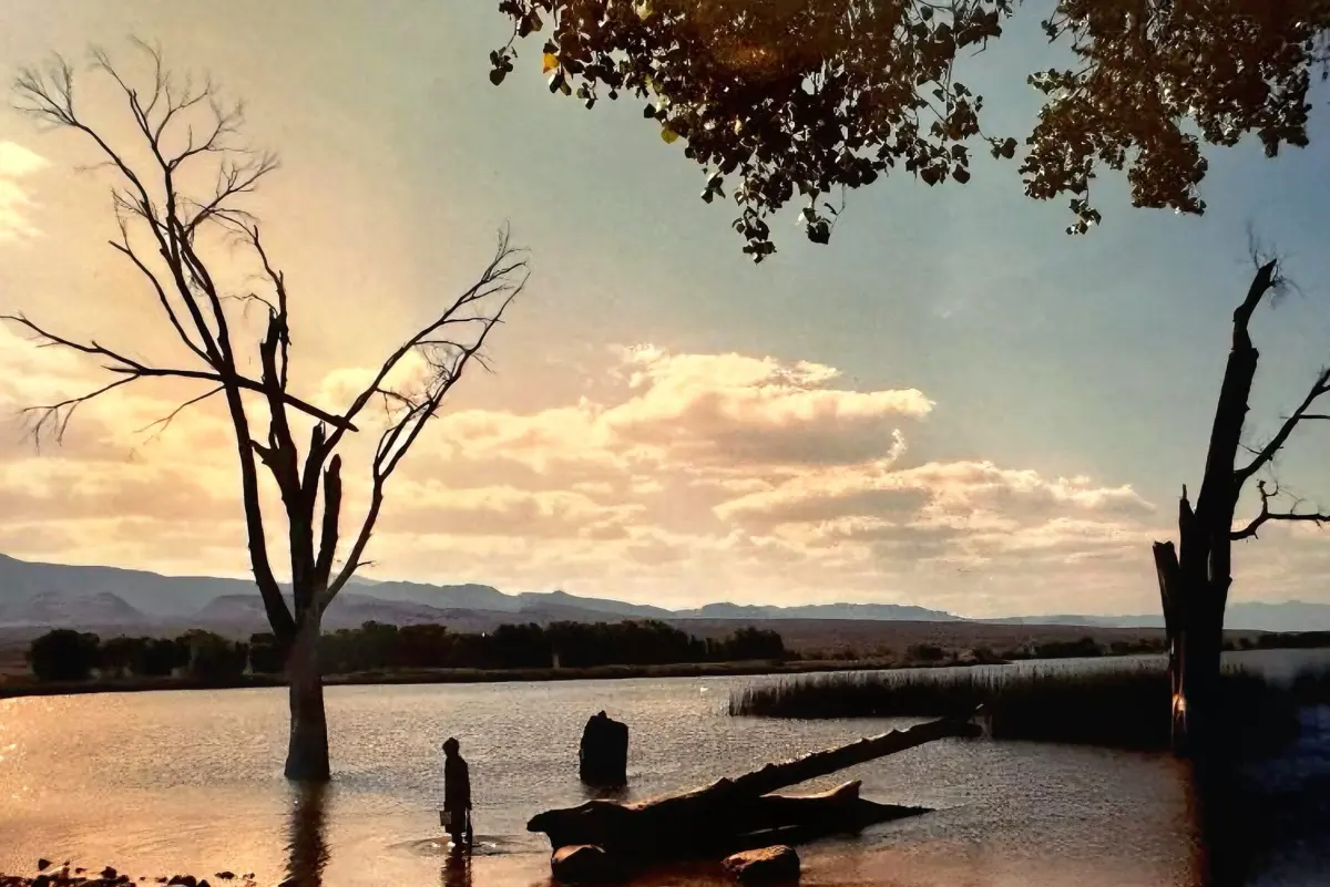 A person stands in shallow water beside a bare tree and fallen log in a marshy lake at sunset, with distant hills on the horizon.