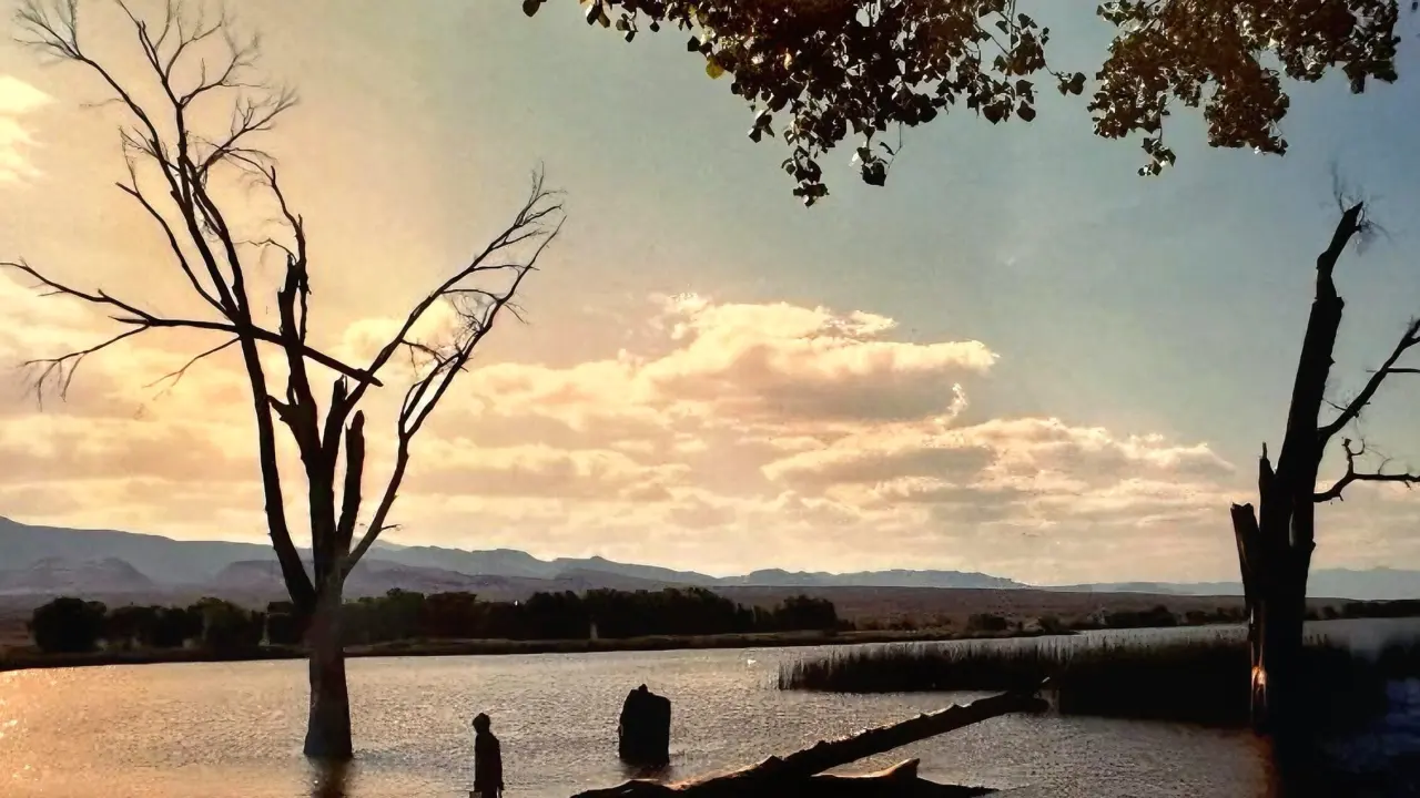 A person stands in shallow water beside a bare tree and fallen log in a marshy lake at sunset, with distant hills on the horizon.