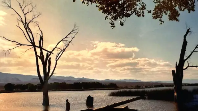 A person stands in shallow water beside a bare tree and fallen log in a marshy lake at sunset, with distant hills on the horizon.