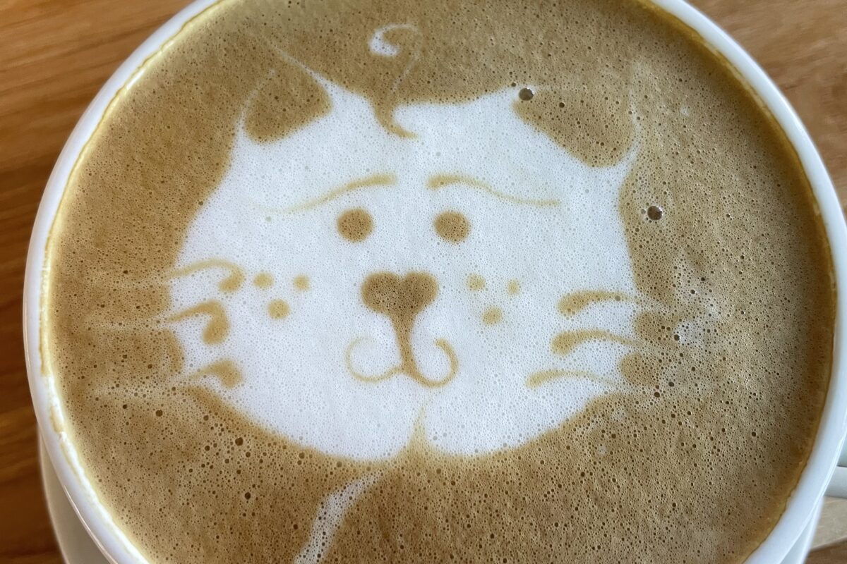 Latte in a white mug with cat foam art