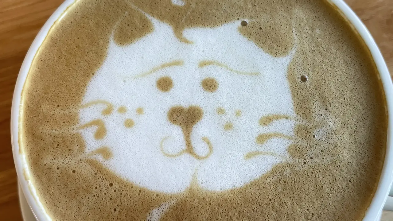 Latte in a white mug with cat foam art