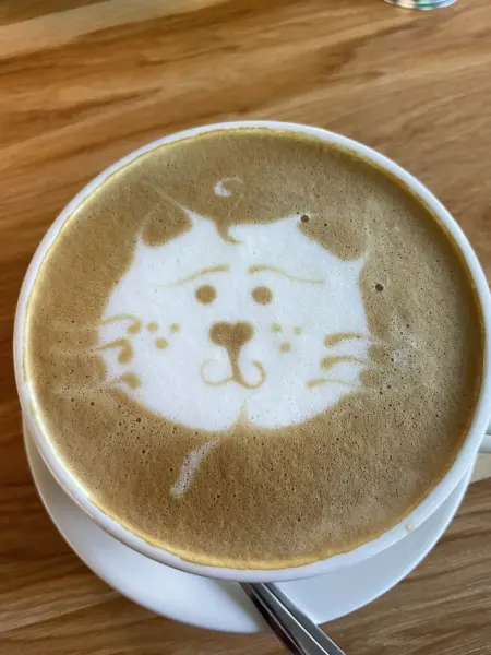 Latte in a white mug with cat foam art
