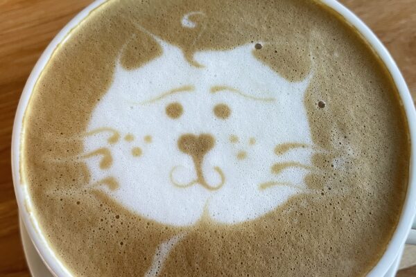 Latte in a white mug with cat foam art