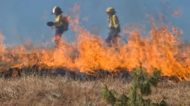 Wildfire over grasslad with fire fighters in the background.