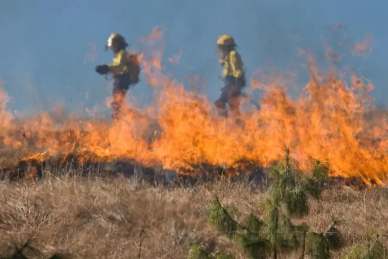 Wildfire over grasslad with fire fighters in the background.