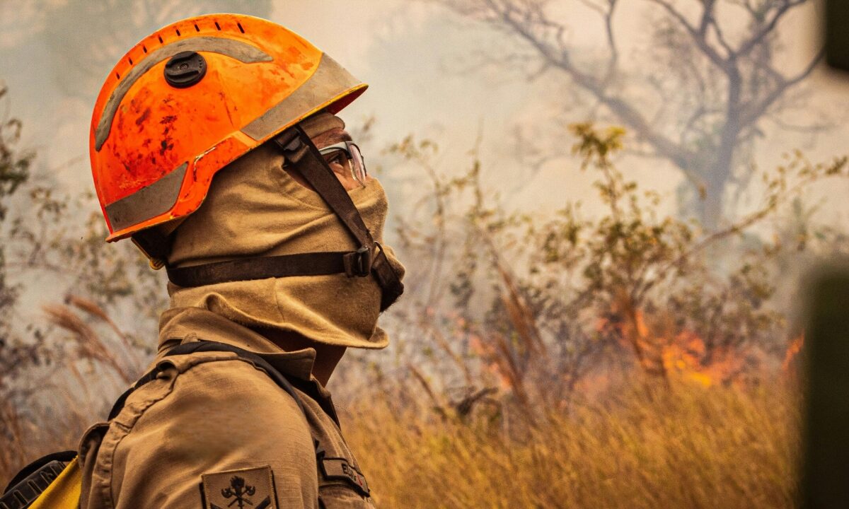 Firefighter wearing protective gear and an orange helmet looks toward a smoky landscape where flames and dry vegetation are visible.
