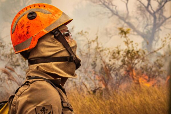 Firefighter wearing protective gear and an orange helmet looks toward a smoky landscape where flames and dry vegetation are visible.
