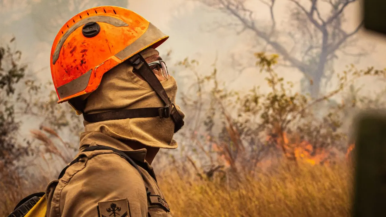 Firefighter wearing protective gear and an orange helmet looks toward a smoky landscape where flames and dry vegetation are visible.